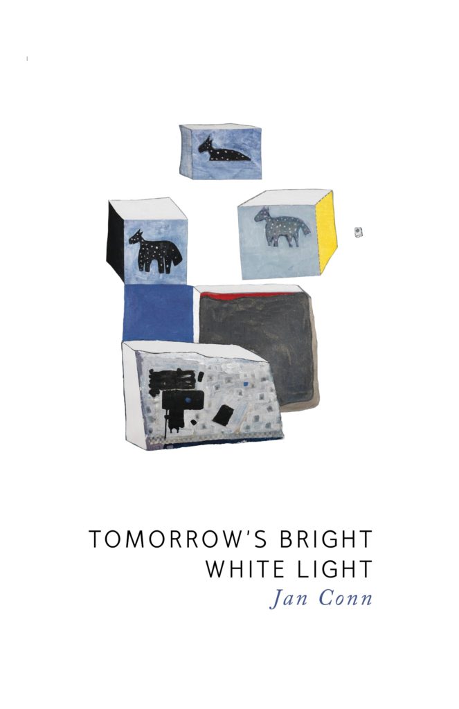 jan-conn-book-cover-image