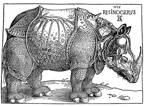 Albrecht Dürer's 1515 woodcut of a rhinoceros.